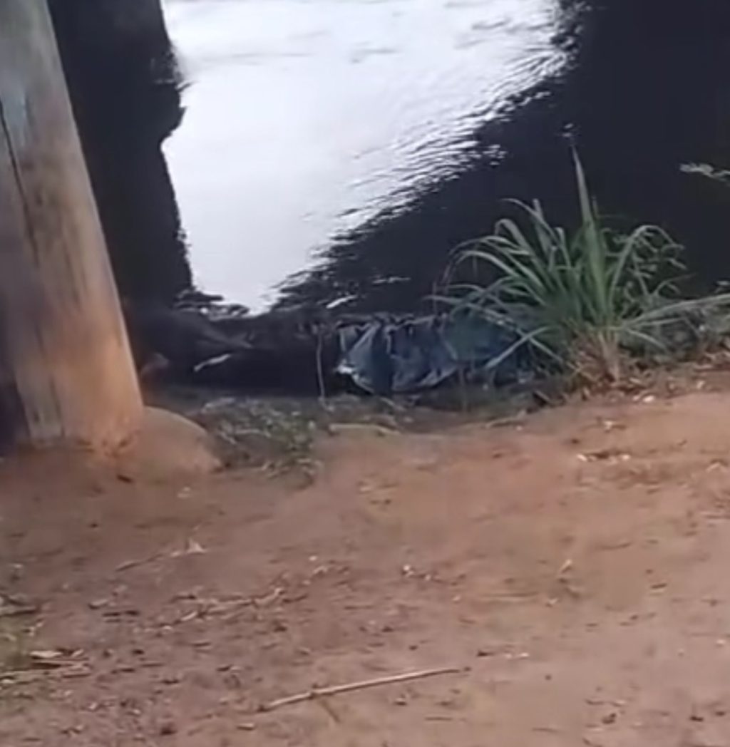 Corpo é encontrado amarrado próximo à ponte entre Ilhéus e Itabuna