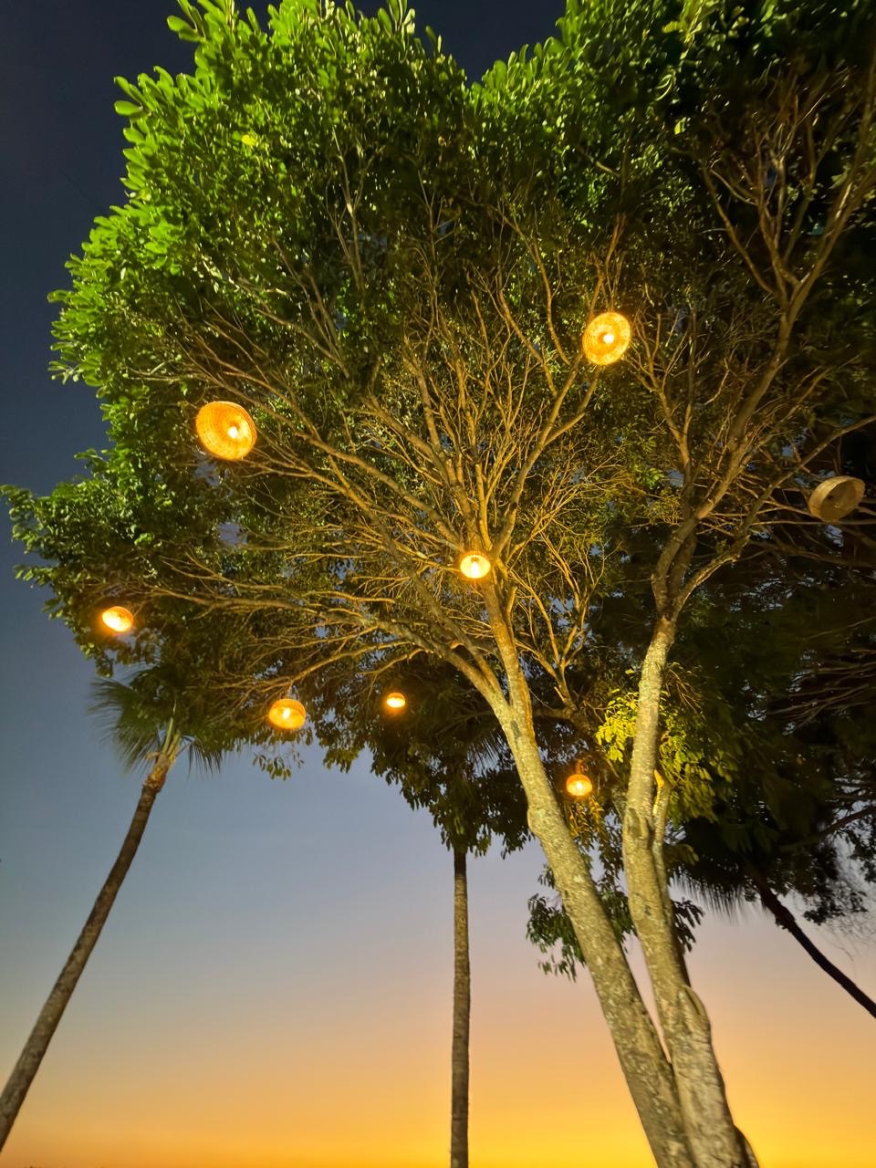 CIDADE Ilhéus entrega iluminação cênica e revitalização da Praça da Sapetinga