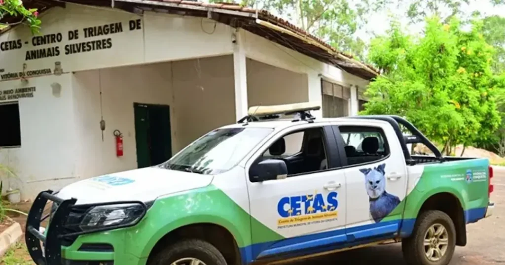 Ibama apreende freezer com carcaças de animais silvestres durante operação no sudoeste da Bahia