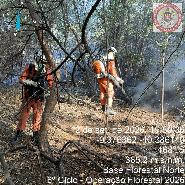 BAHIA REFORÇA COMBATE A INCÊNDIO FLORESTAL NO NORTE COM 21 BOMBEIROS E DUAS AERONAVES