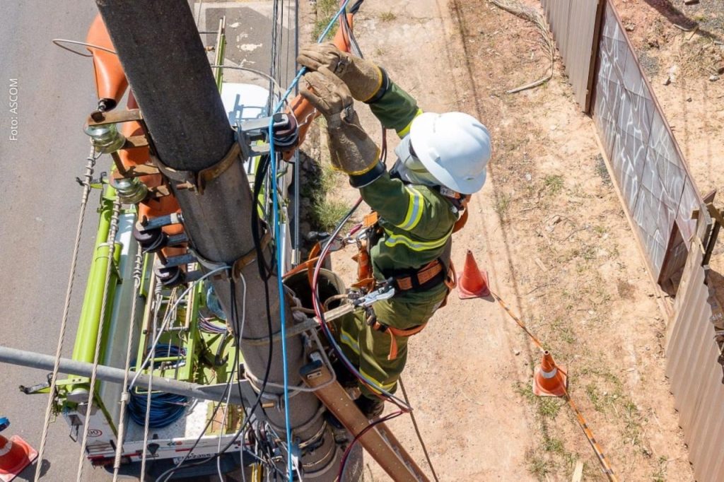 NEOENERGIA COELBA FAZ OPERAÇÃO GATONET EM 25 CIDADES DA BAHIA; ILHÉUS E ITABUNA ESTÃO NA LISTA