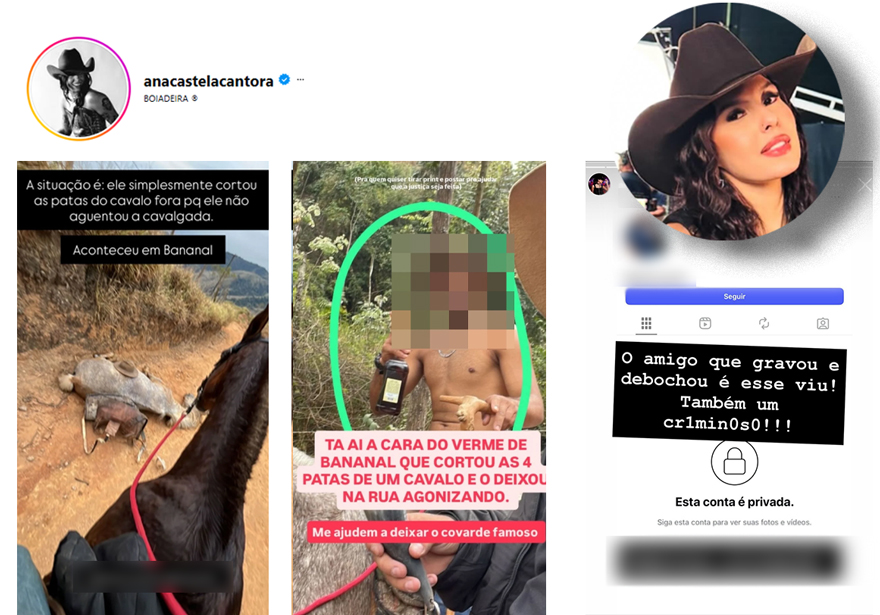 ANA CASTELA É CONDENADA APÓS CHAMAR HOMEM DE “CRIMINOSO”