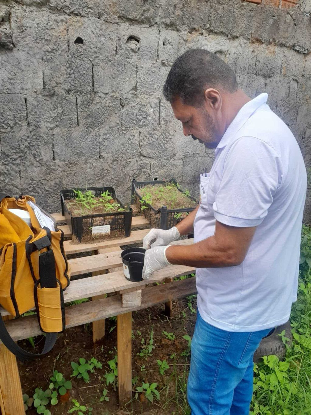 ILHÉUS REGISTRA ÍNDICE DE 5,7% DE INFESTAÇÃO PELO AEDES AEGYPTI